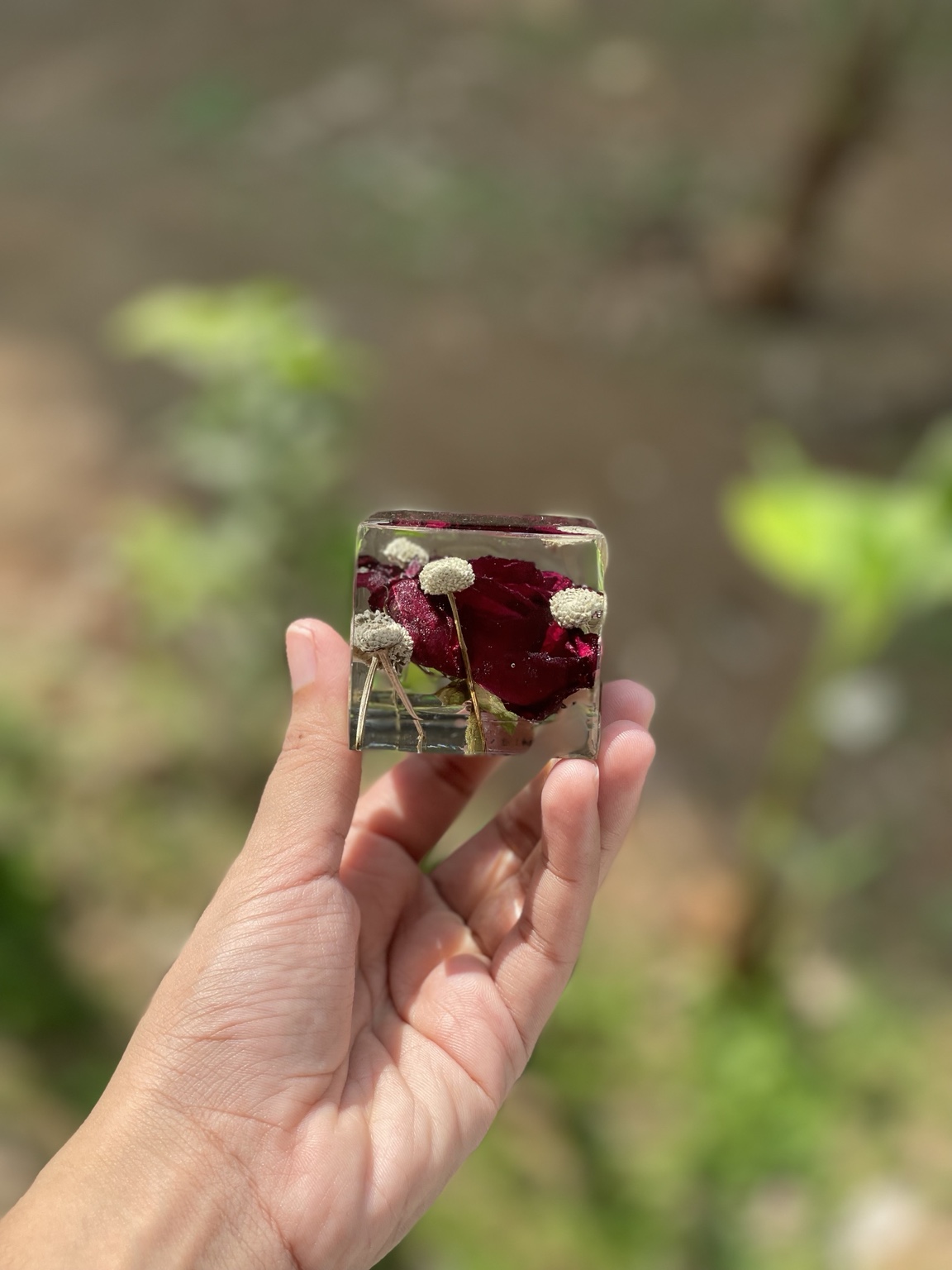 Small cube floral preservation